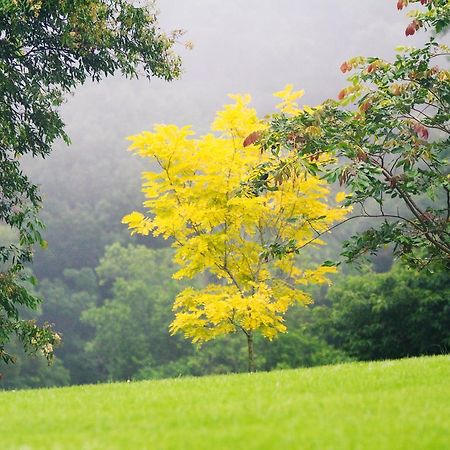 Mt Glorious Getaways Villa Mount Glorious Buitenkant foto