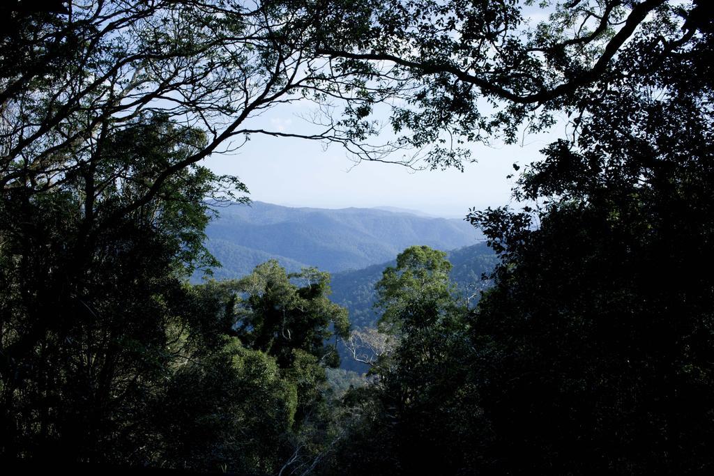 Mt Glorious Getaways Villa Mount Glorious Buitenkant foto
