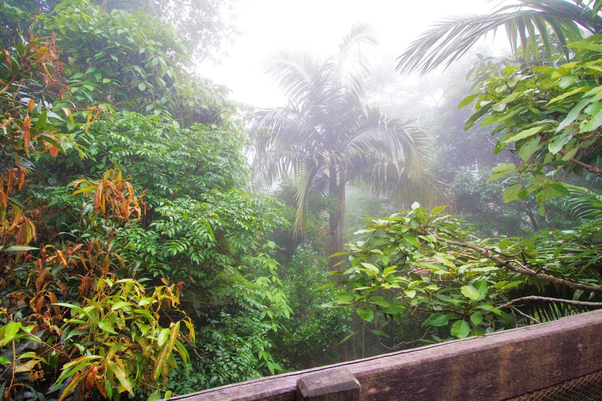 Mt Glorious Getaways Villa Mount Glorious Buitenkant foto